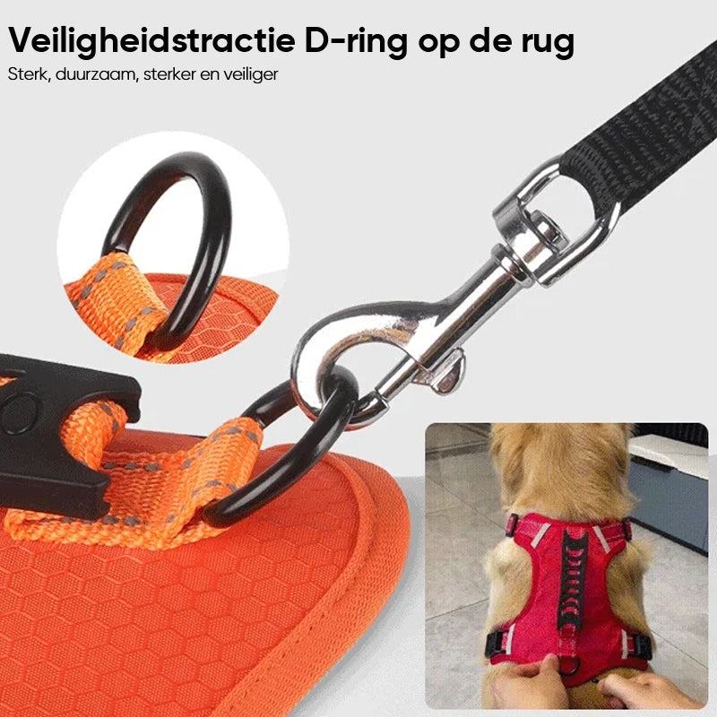 Reflecterende hondenborstband