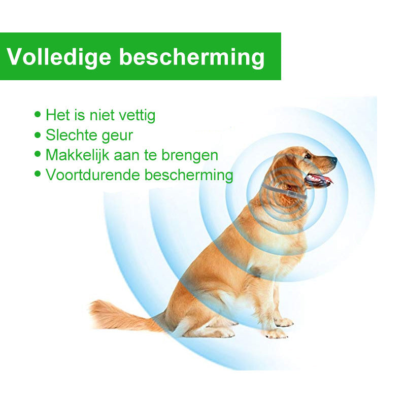 Pro Guard vlooien- en tekenhalsband voor honden