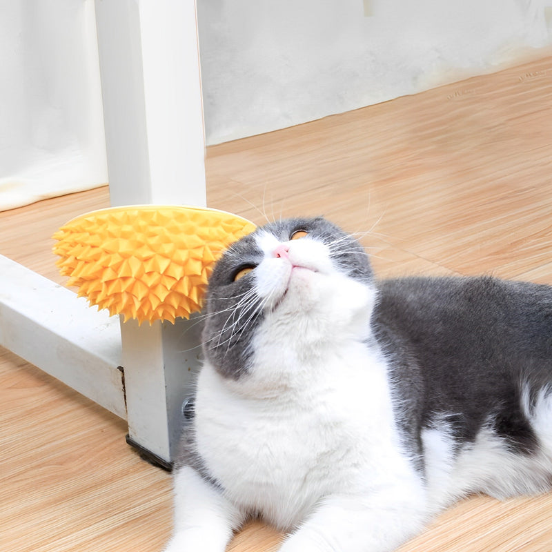 Durian Pet krab- en ontharingsspeeltje