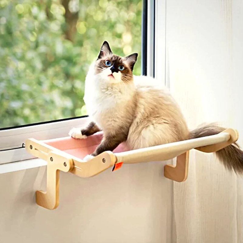 Kattenmand voor het raam