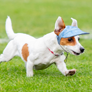 Buitenzonweringkap voor honden