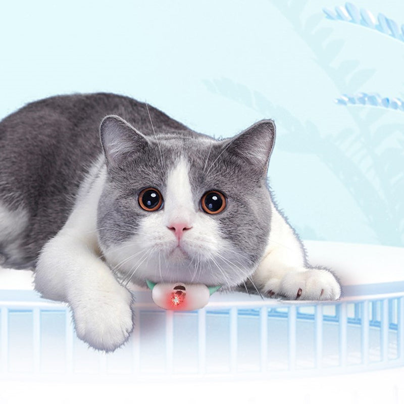 Draagbaar automatisch laserspeelgoed voor katten