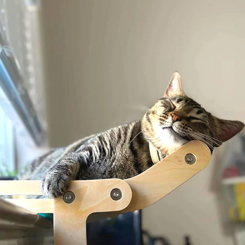 Kattenmand voor het raam