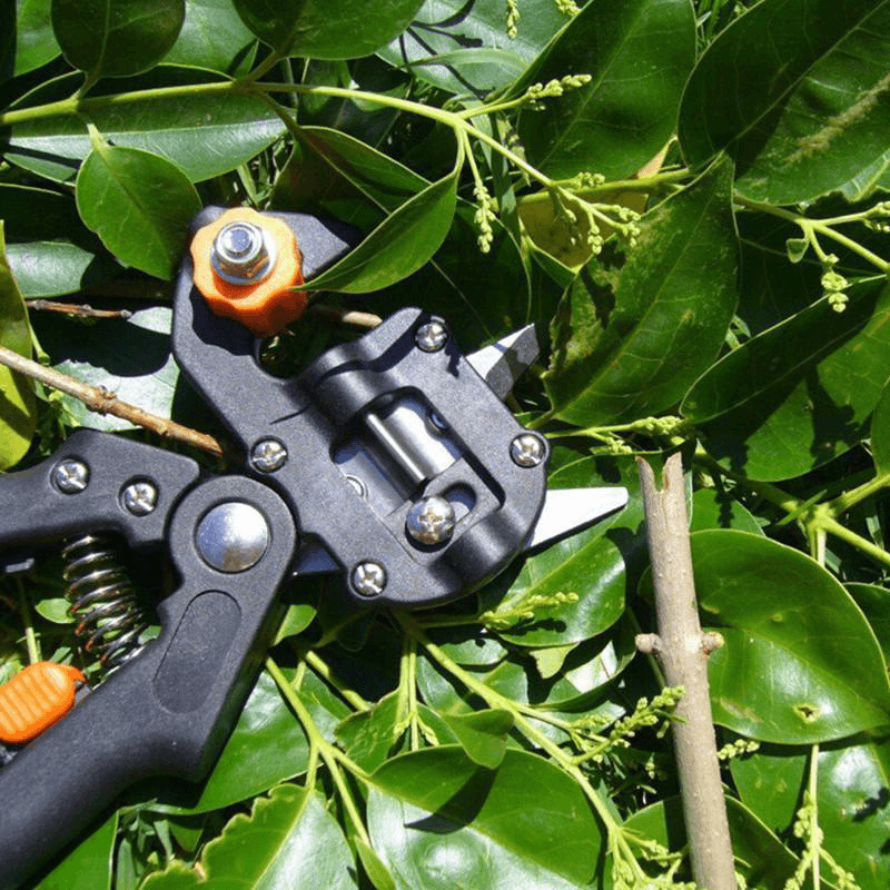 Domom® Professional Garden Enting Tool Kit