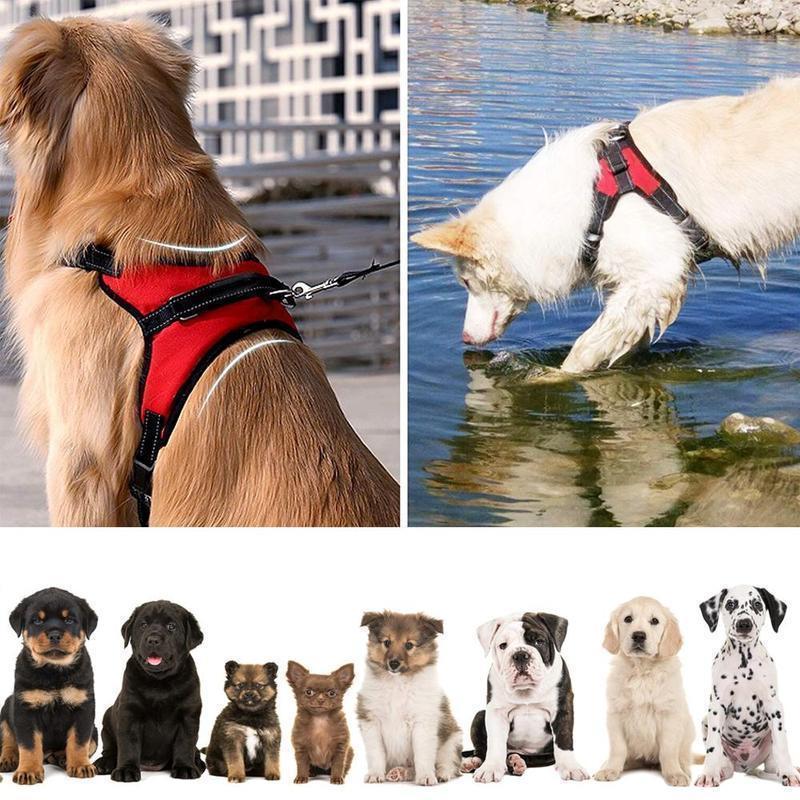 No-Pull hondentuig, verstelbaar harnas voor honden