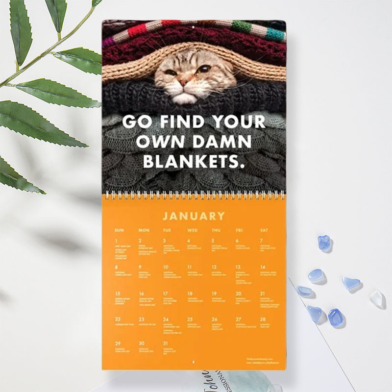 😾Kalender voor pissige katten 2024