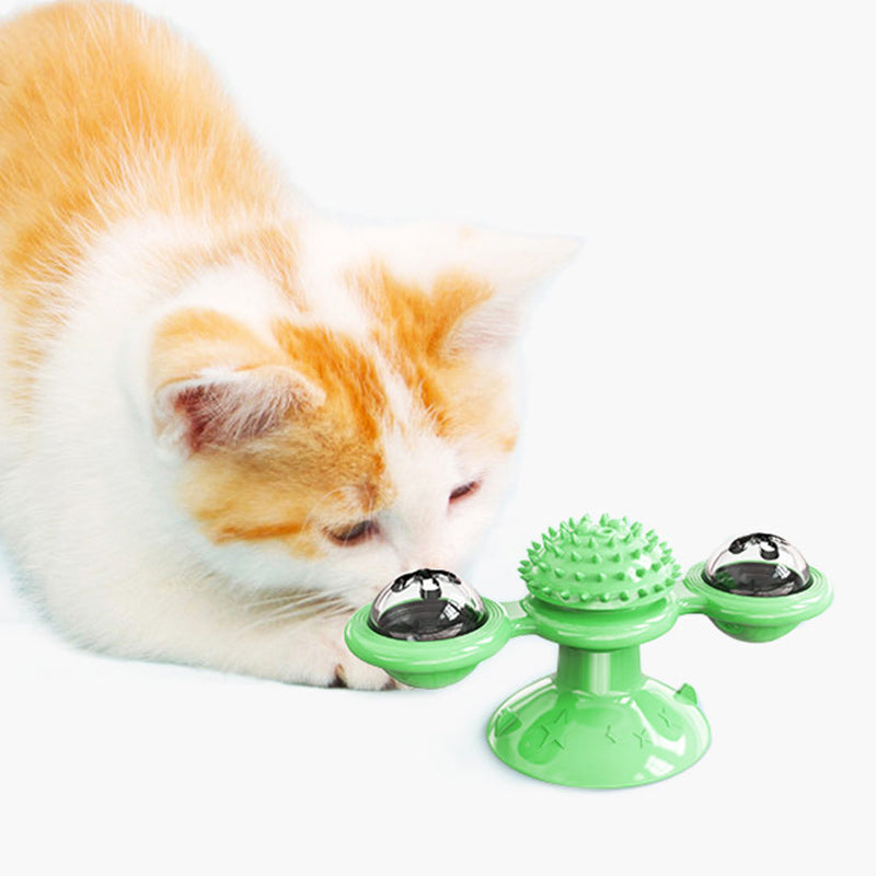 Windmolen Kattenspeeltje