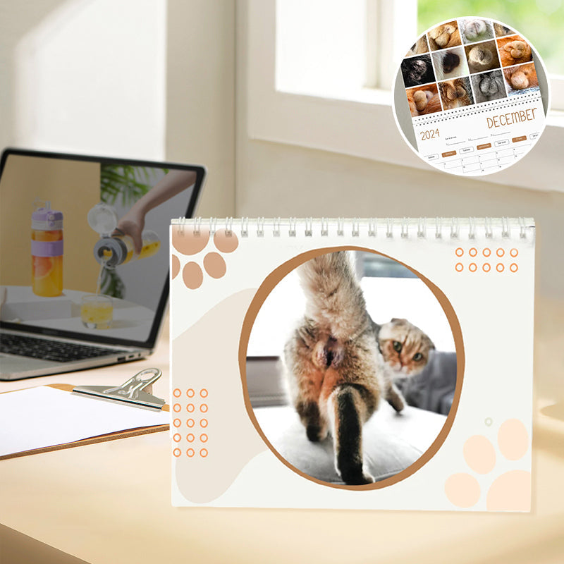 Grappige kattenballen kalender 2024