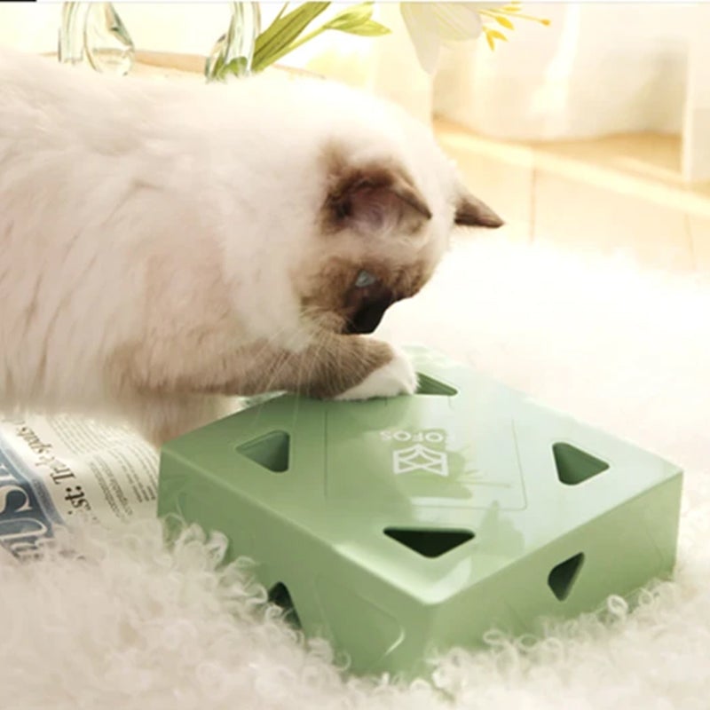 Elektrische Funbox voor Katten