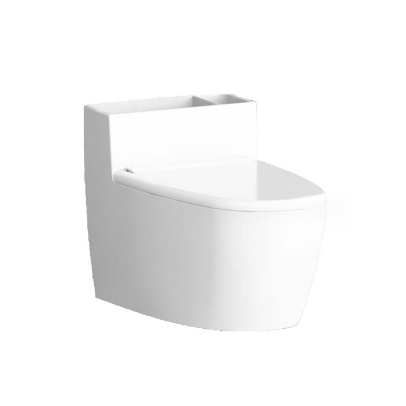 Creatieve toiletasbak