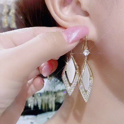 Diamant Zirkoon Fashion Oorbellen