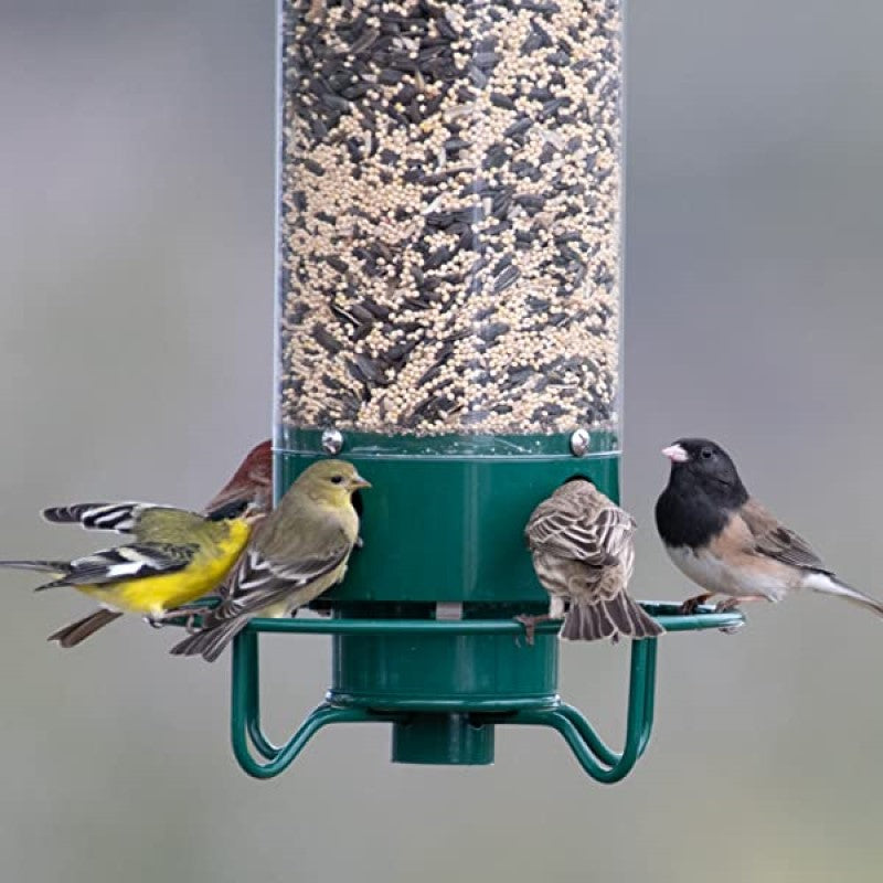 Eekhoorn bestendige vogelvoeder