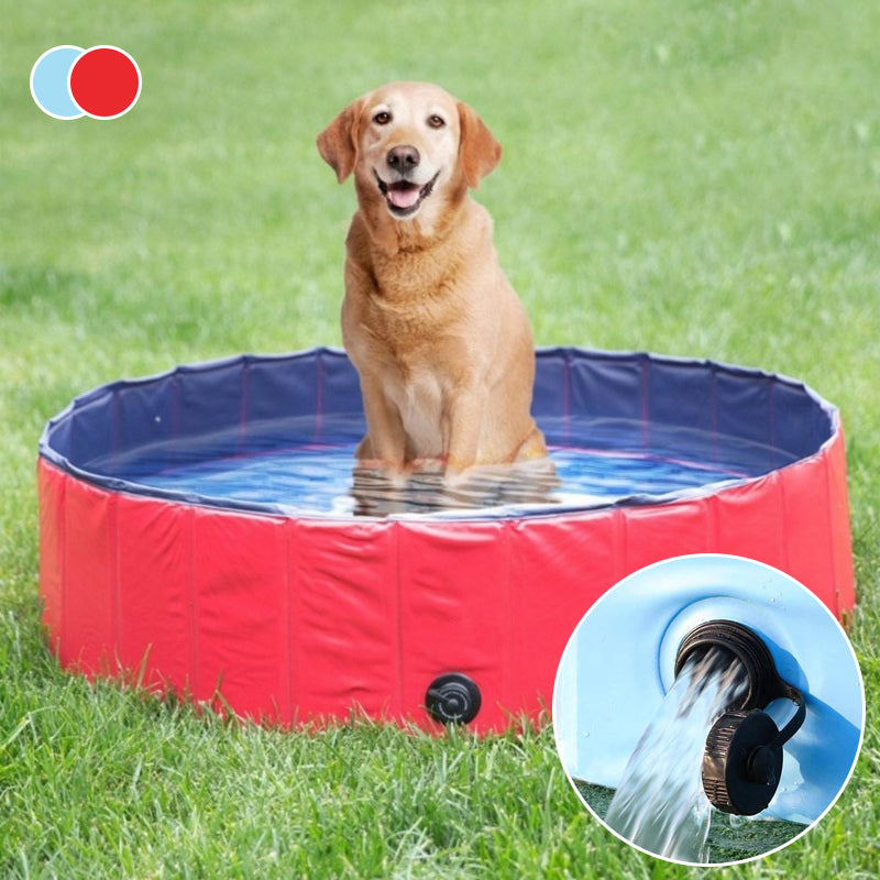 Draagbare Paw Pool