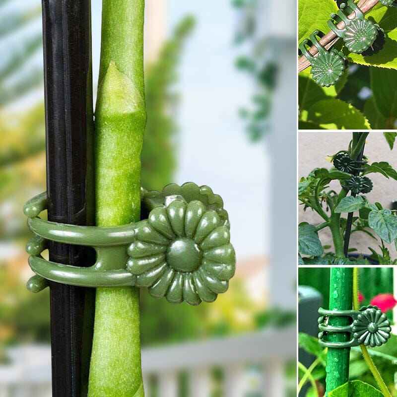 Clips voor planten