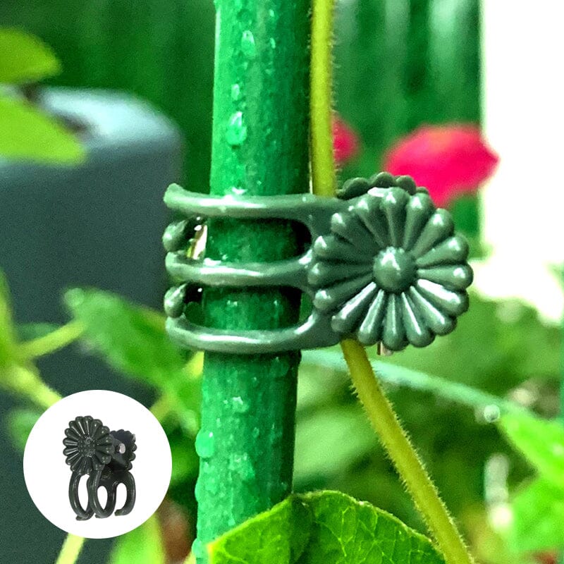 Clips voor planten