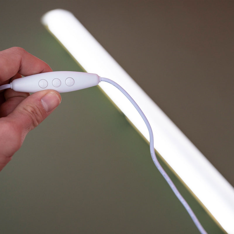 Draagbare opblaasbare opvouwbare batterij Pony Light